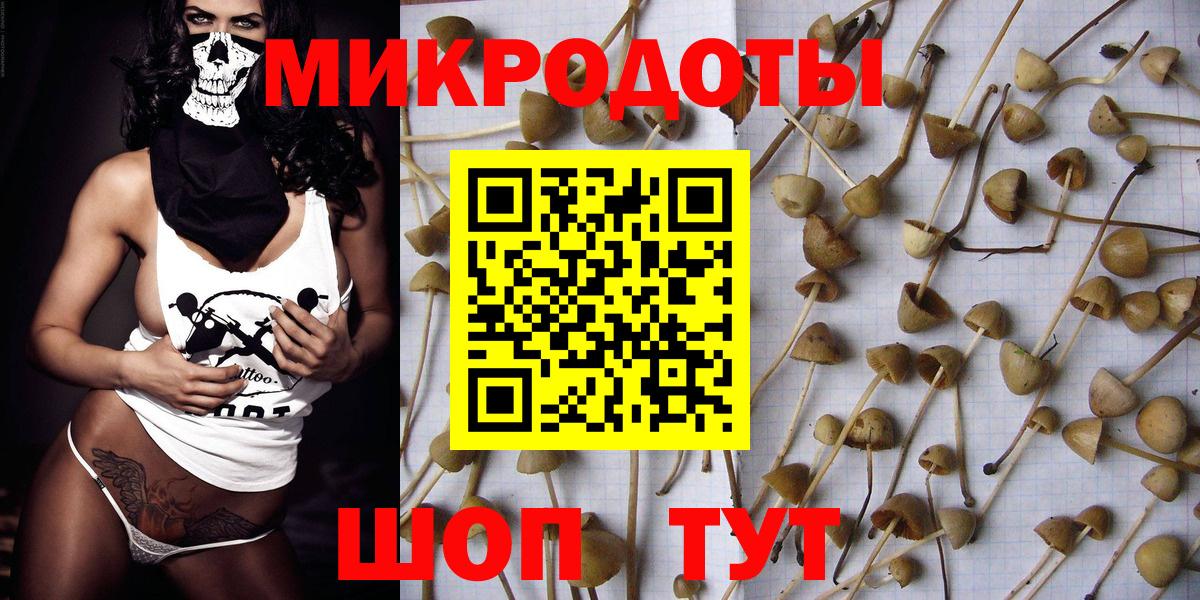 Галлюциногенные грибы Psilocybe  Псилоцибиновые грибы мицелий  Туапсе  Вход с VPN 