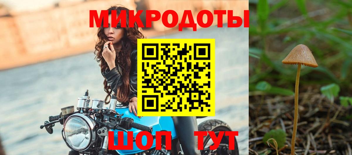 Галлюциногенные грибы Cubensis Туапсе